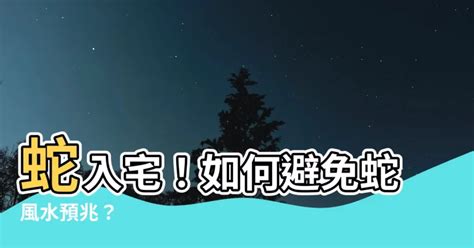 蛇入屋風水|【蛇入宅】蛇入宅！如何避免蛇風水預兆？